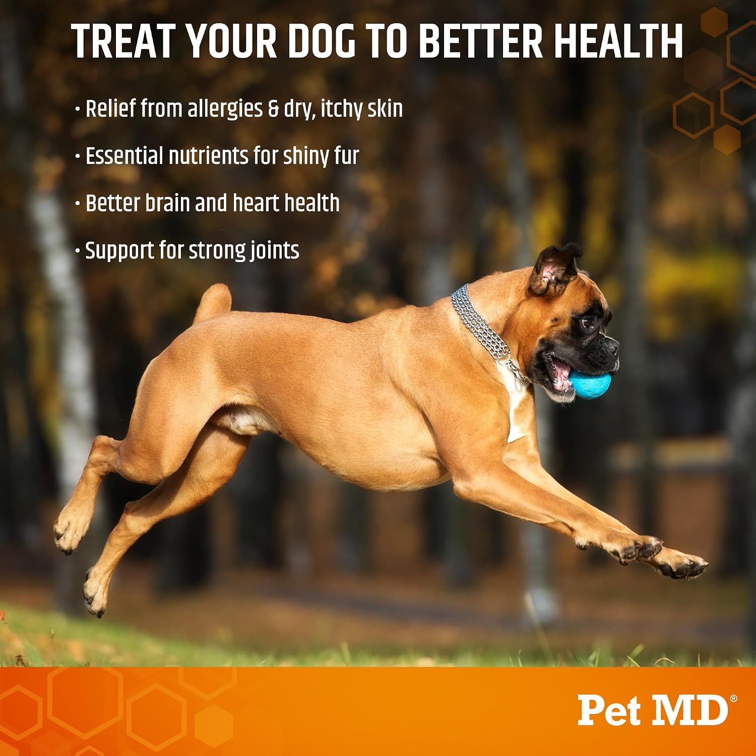 Pet MD Salmon Omega Bites for Dogs - Skin and Coat Supplement with Omega-3 and 6 and DHA and EPA - 60 Count - görsel 3