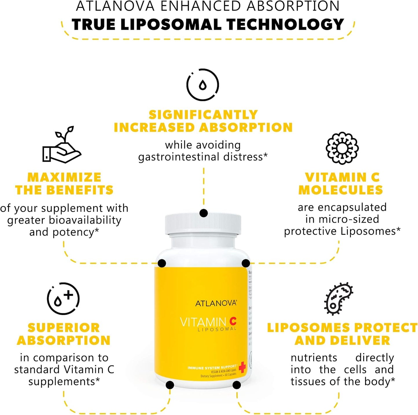ATLANOVA True Liposomal Vitamin C 1000mg Capsules - Liposome Lab Formula (Vegan, Non-GMO, 120 Capsules) - görsel 3