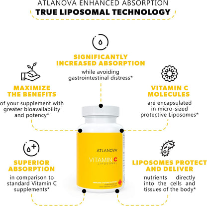 ATLANOVA True Liposomal Vitamin C 1000mg Capsules - Liposome Lab Formula (Vegan, Non-GMO, 120 Capsules)