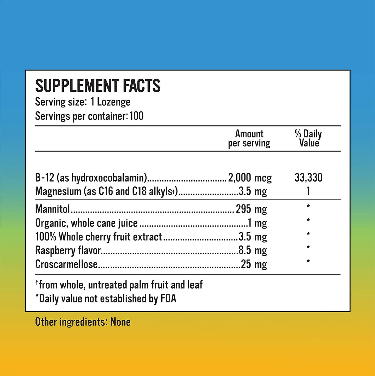 Alkaline for Life Rise Well Vitamin B12 - Vegan B12 Sublingual 2000 mcg - Hydroxocobalamin Form - görsel 2
