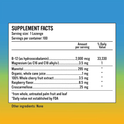 Alkaline for Life Rise Well Vitamin B12 - Vegan B12 Sublingual 2000 mcg - Hydroxocobalamin Form