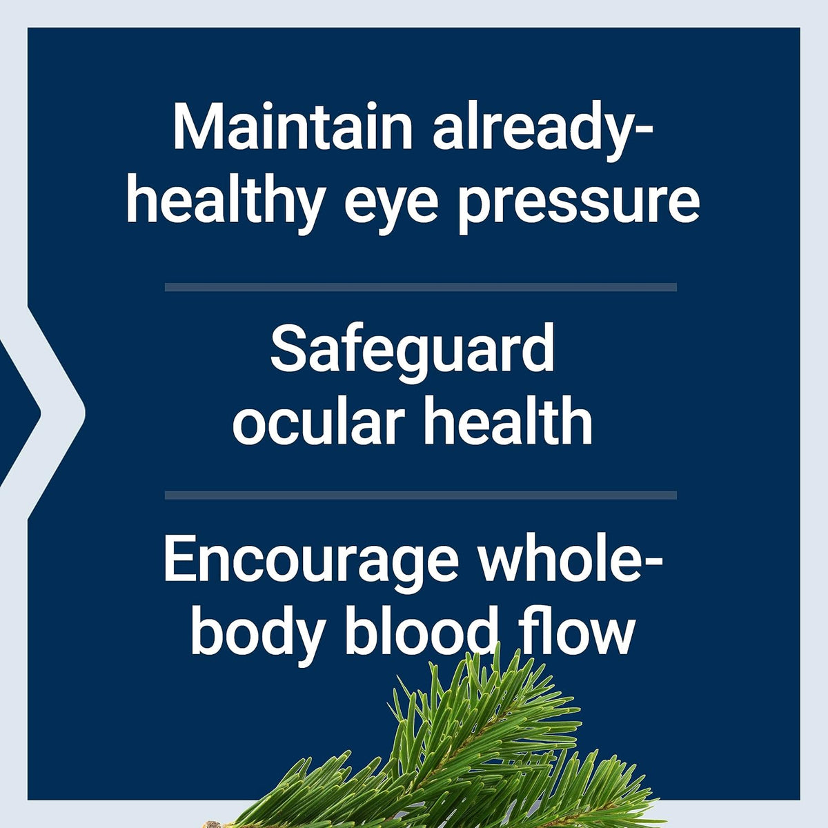 Life Extension Eye Pressure Support with Mirtogenol - Eye Health Supplement for Healthy Eye Pressure - with French Maritime Pine Bark - Gluten-free, Vegetarian, Non-GM - 30 Capsules - görsel 4