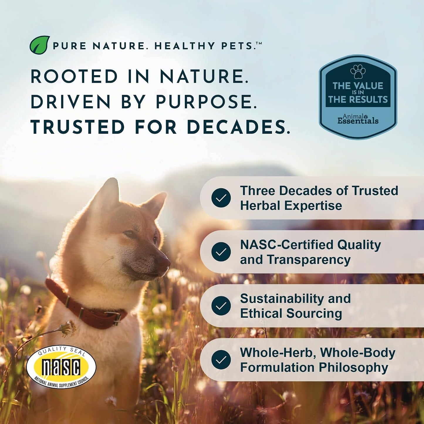 Yucca - Hip and Joint Yucca Root Supplement for Dogs & Cats, Liquid Herbal Care Drops for Senior Dogs & Older Pets, Digestion & Immune Support, Antioxidant Boost - 30 ml - görsel 9