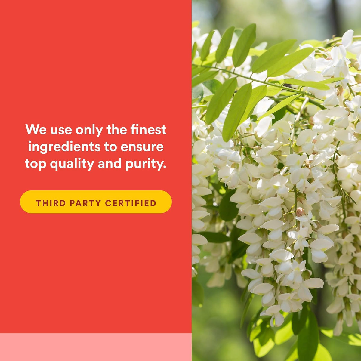 Natural Factors Quercetin LipoMicel Matrix - Superior Absorption Softgels, 60 Softgels - görsel 5
