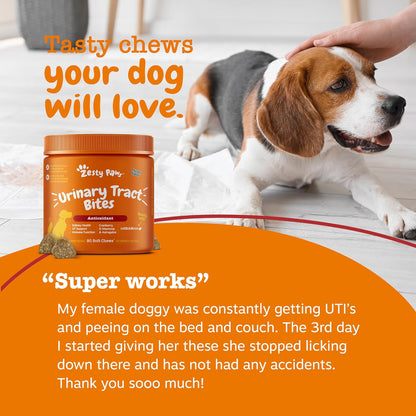 Zesty Paws Cranberry Supplement for Dogs – Urinary Tract Support Chews, Chicken Flavour, 90 Count