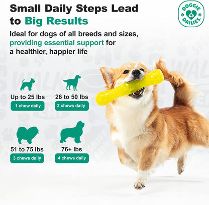 Doggie Dailies Skin & Coat Supplement for Dogs – Salmon Oil with Collagen, 225 Soft Chews