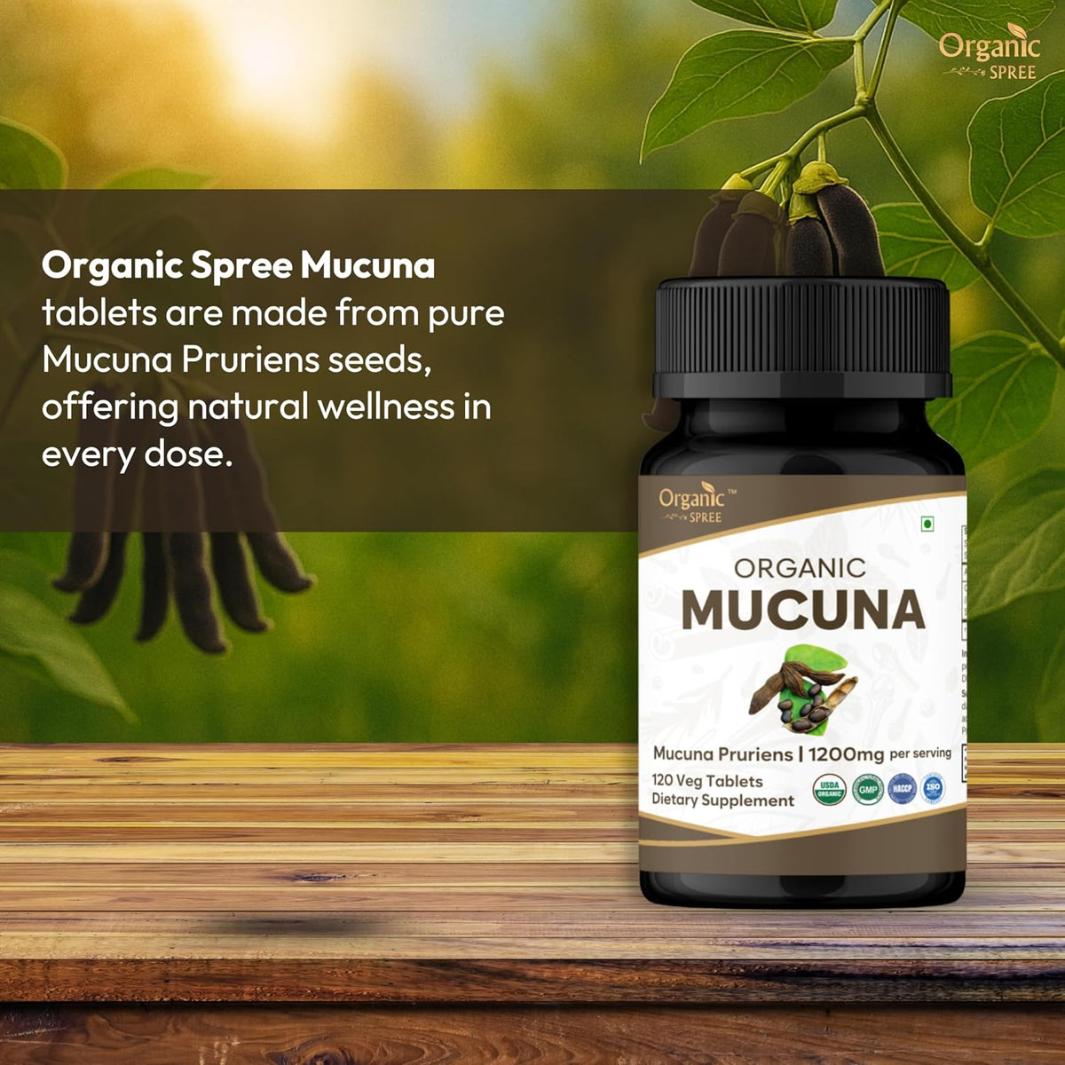 ORGANIC SPREE Mucuna Tablets - Organic Mucuna Supplement, 120 Tablets (Pack of 3) - görsel 2