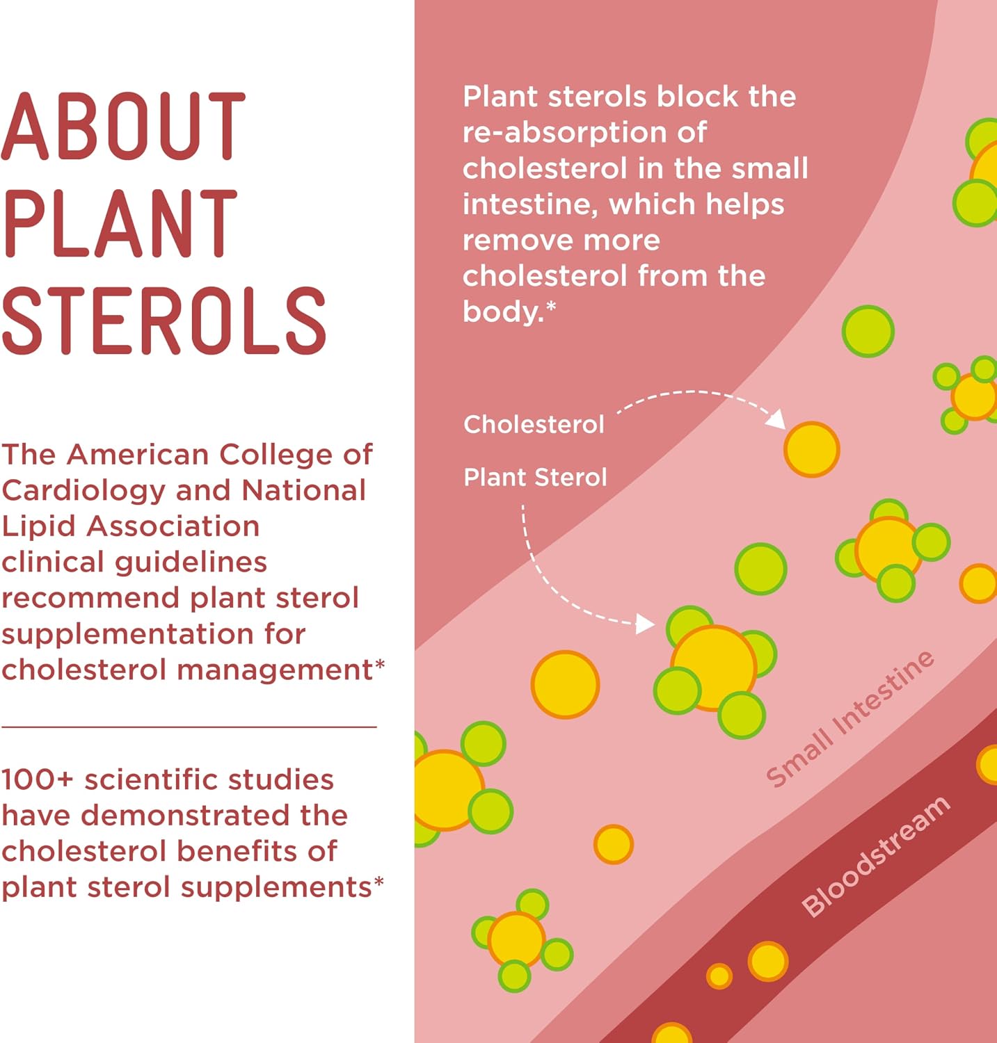Piper LDL Cholesterol Health Plant Sterol Gummies – 224 Count - görsel 6
