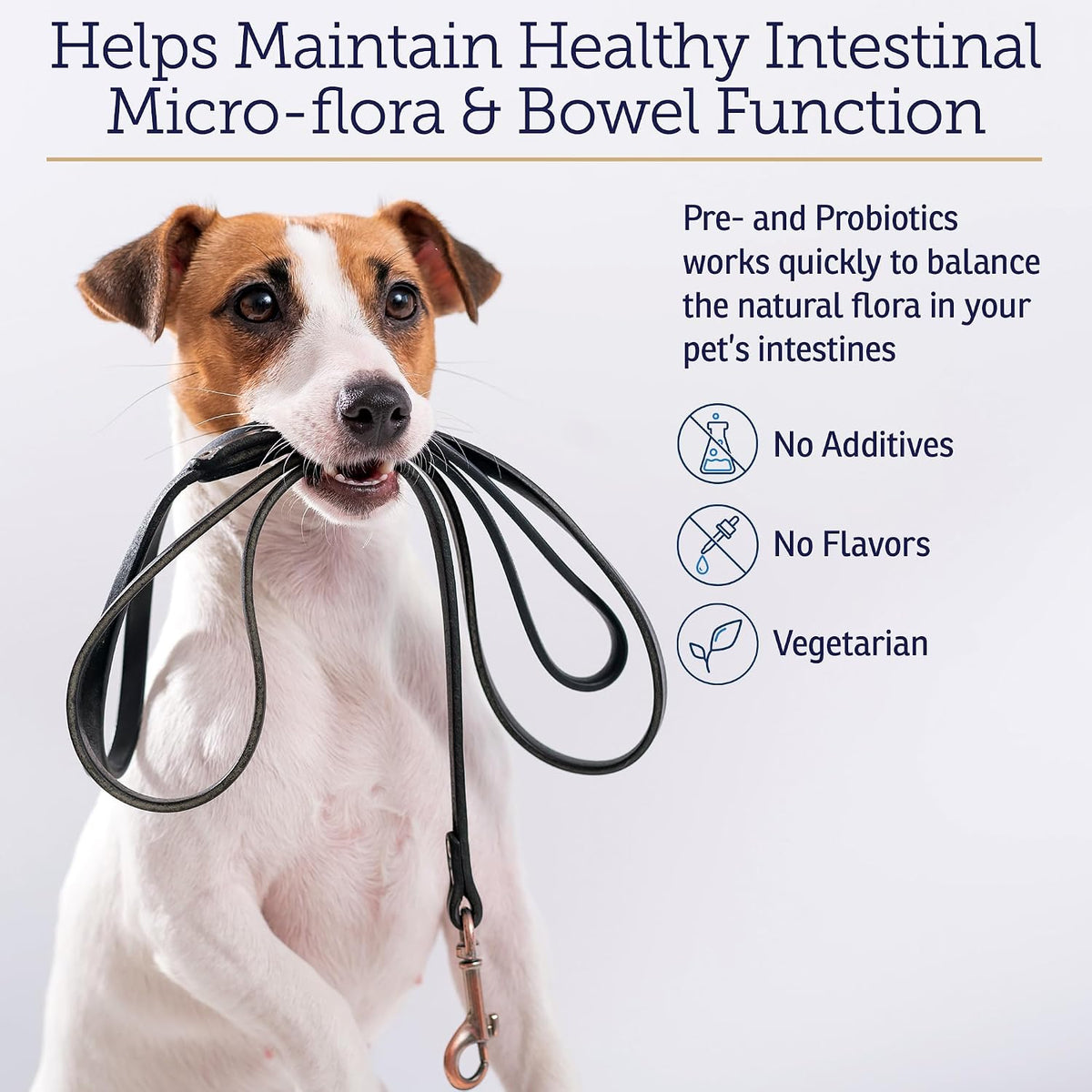 Rx Vitamins Rx Biotic Probiotic Powder for Dogs and Cats - Cat Digestive Support & Dog Gut Health - 35g - görsel 4