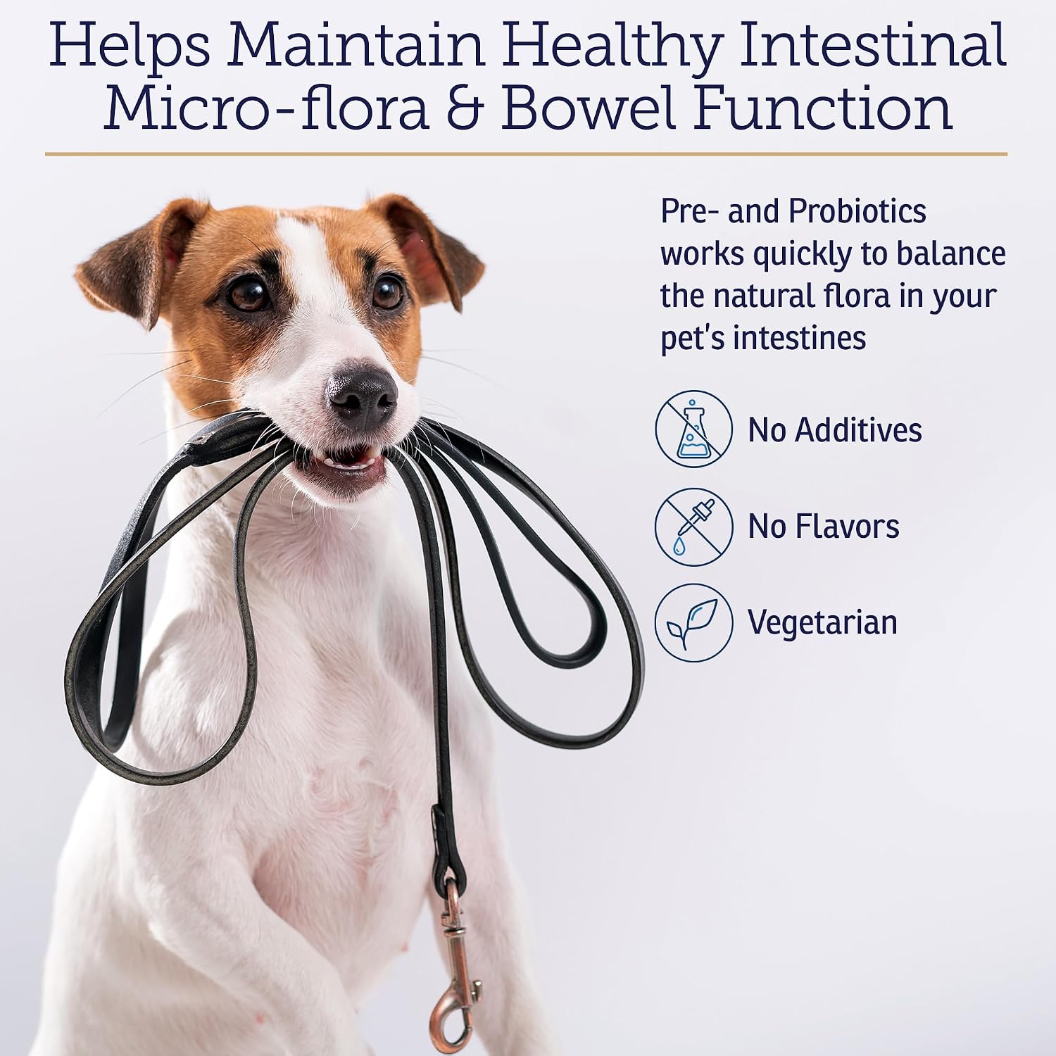 Rx Vitamins Rx Biotic Probiotic Powder for Dogs and Cats - Cat Digestive Support & Dog Gut Health - 35g - görsel 4