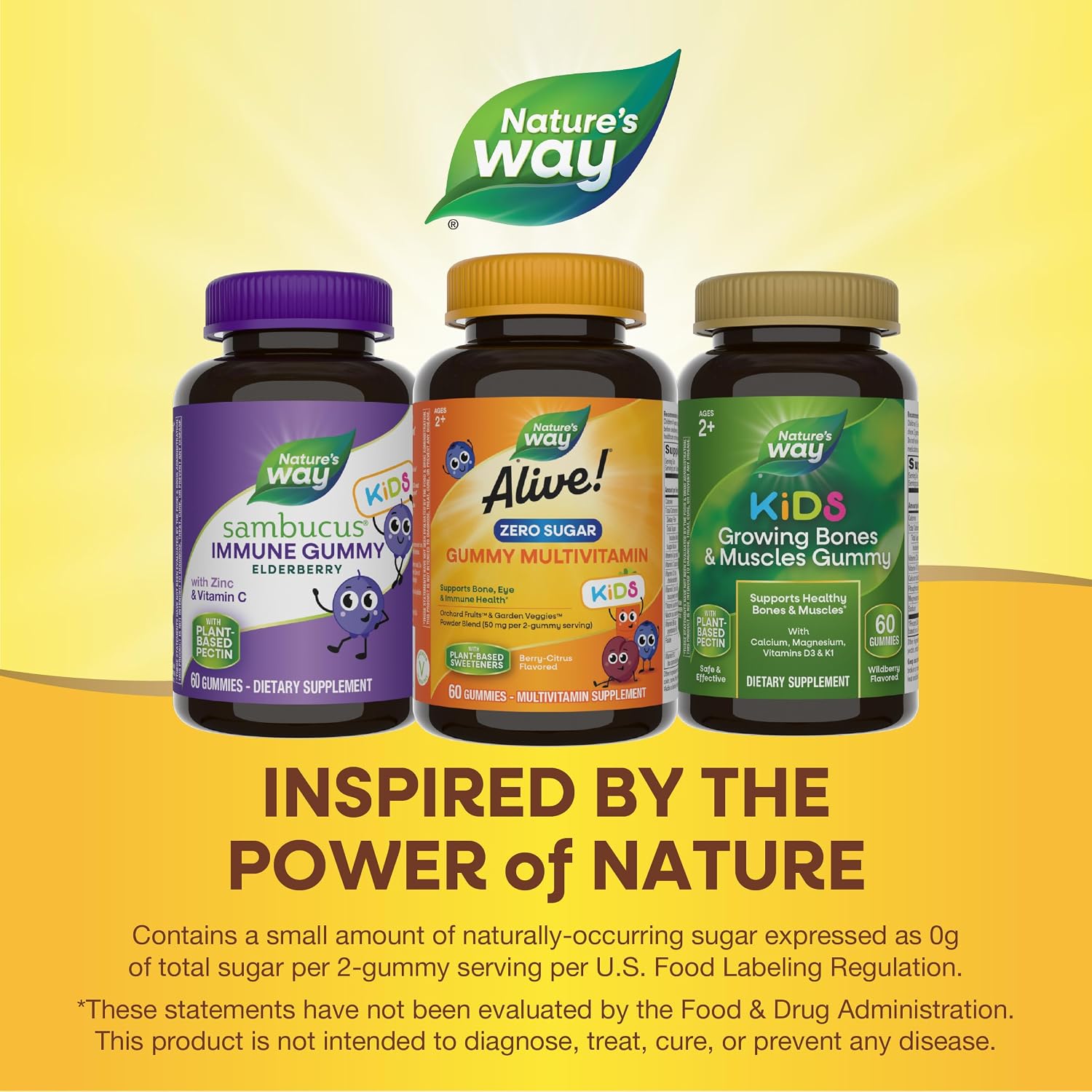 Nature's Way Alive! Kids Zero Sugar Gummy Multivitamins - Berry Citrus - 60 Gummies - görsel 6