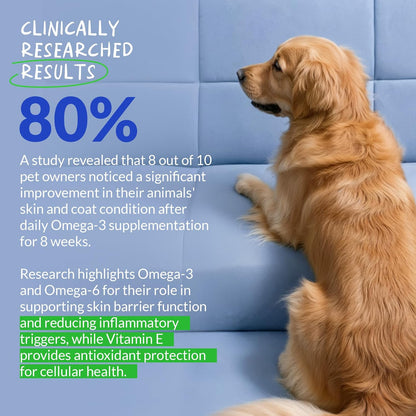 Omega 3 Fish Oil for Dogs 120 Tablets - Skin, Coat and Joint Support