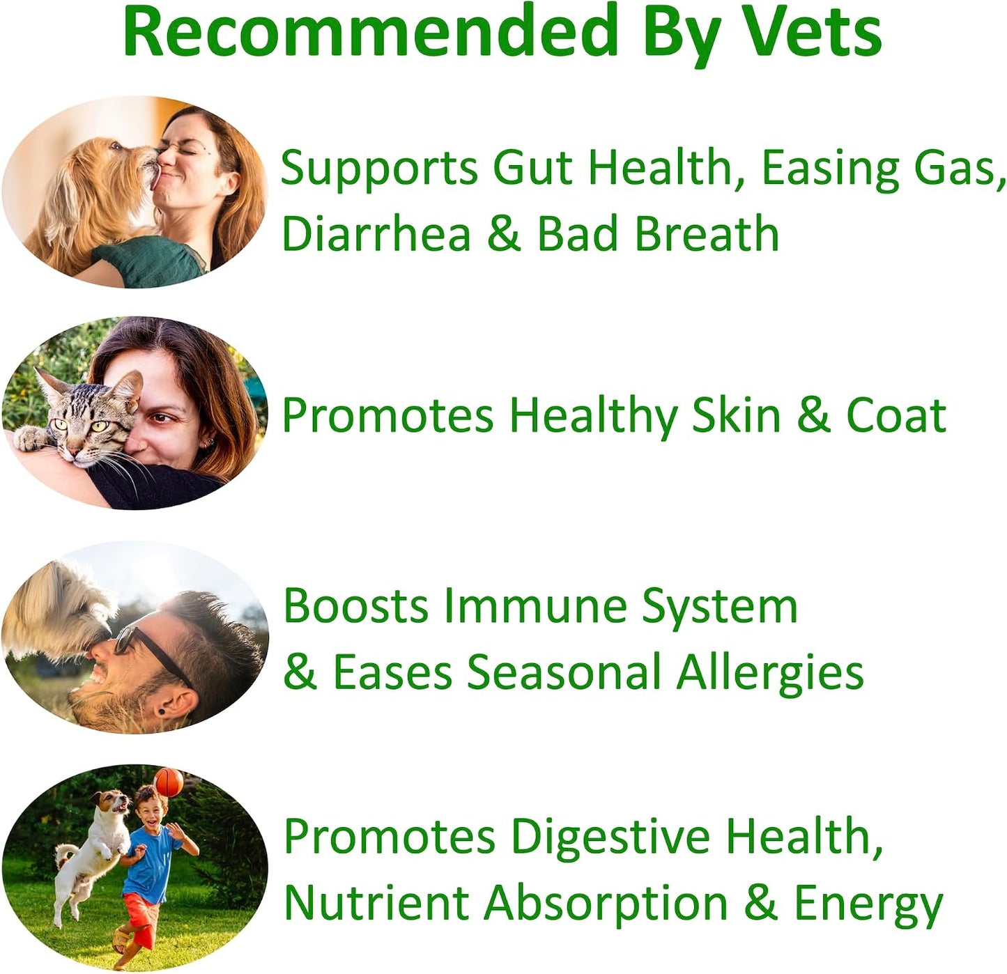 TummyWorks Probiotics for Dogs and Cats. 160 Scoops Probiotic Powder for Digestive Health, Gut, Immunity, Energy, Skin & Coat. 10 Strains, 5 Billion CFUs with 6 Enzymes & Prebiotics. Made in USA. - görsel 3