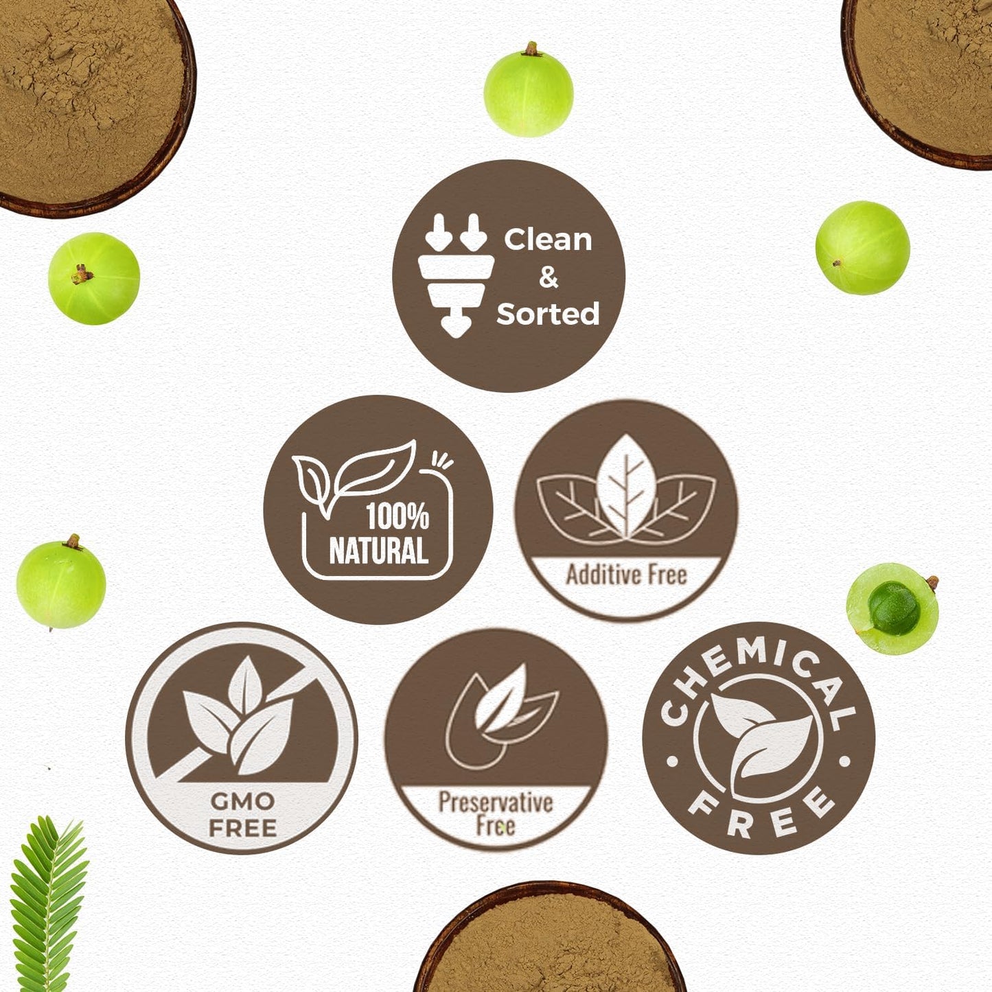 CARMEL ORGANICS Amla/Amlaki (Emblica officinalis) Fruit Powder, 8 oz - görsel 4