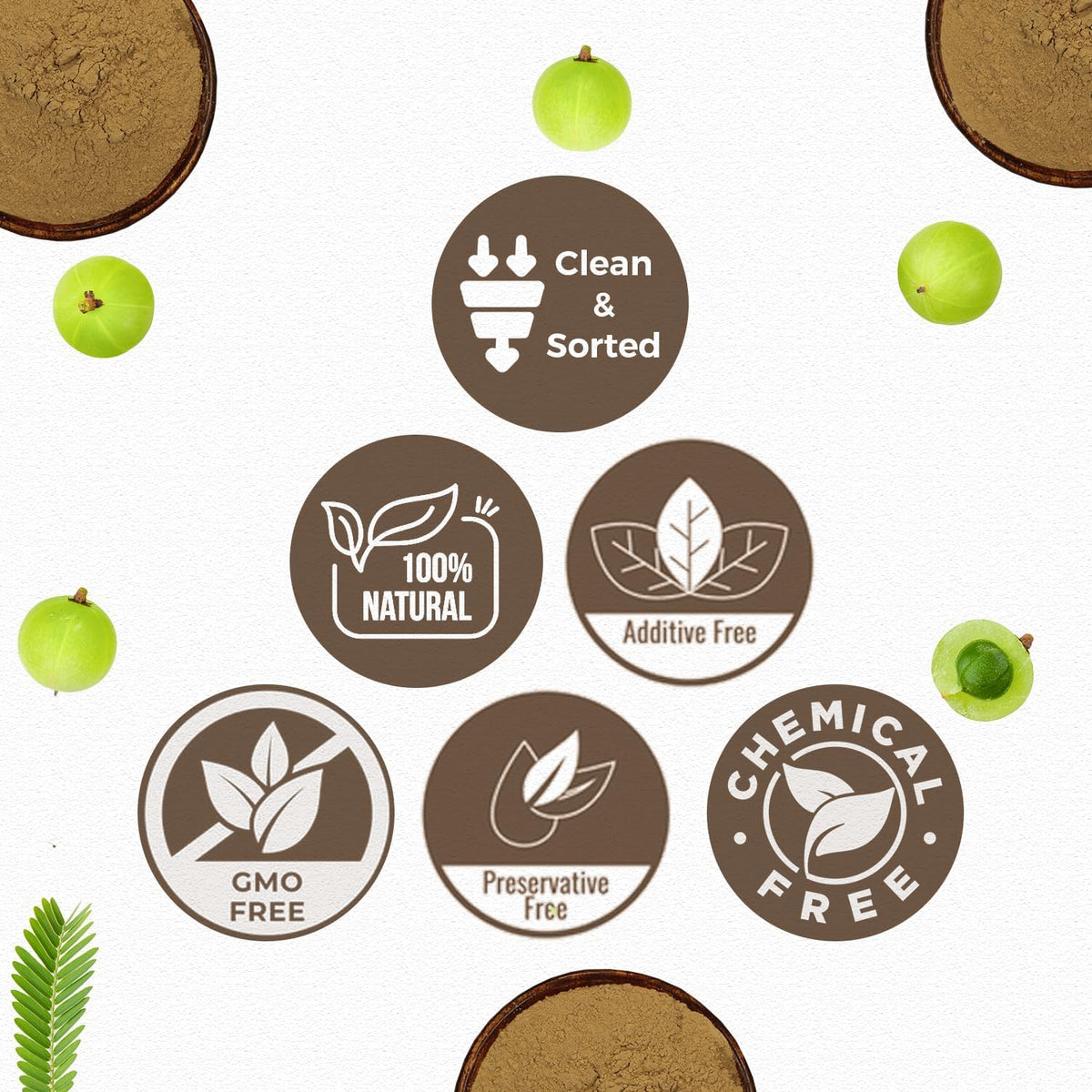 CARMEL ORGANICS Amla/Amlaki (Emblica officinalis) Fruit Powder, 8 oz - görsel 4