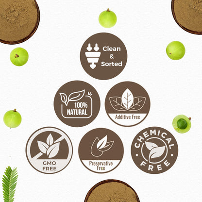 CARMEL ORGANICS Amla/Amlaki (Emblica officinalis) Fruit Powder, 8 oz