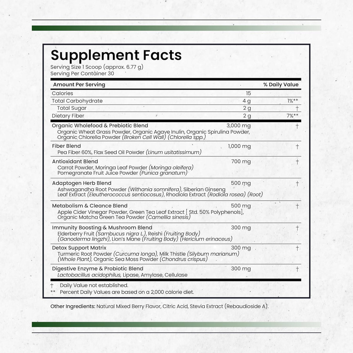 Nature's Pure Blend Super Greens Powder – Organic Greens Superfood Powder, Matcha Flavour, 30 Servings - görsel 2