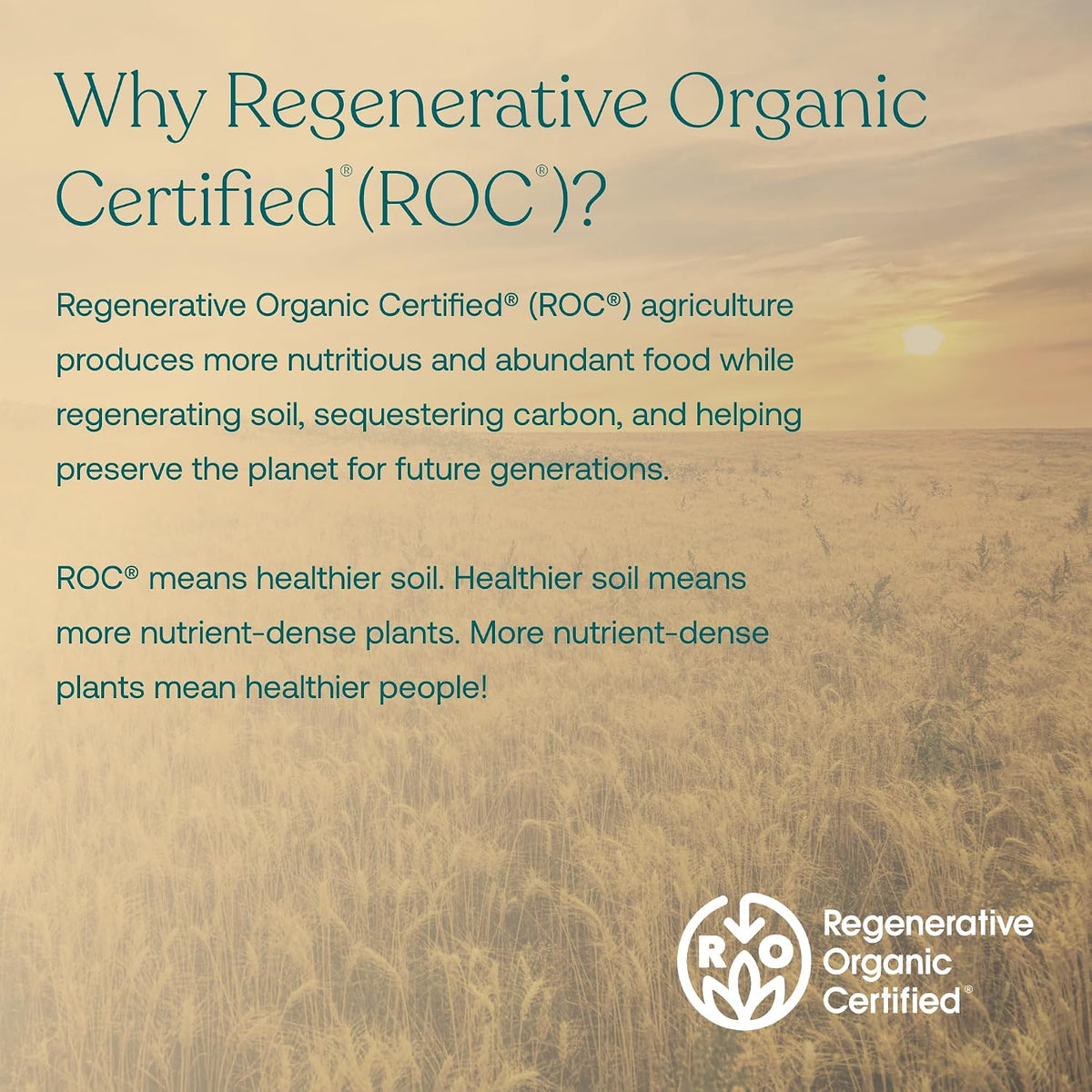 True Grace Broccoli Microgreens - Daily Superfood Powder, Regenerative Organic Certified, 11 g (30 Servings) - görsel 6