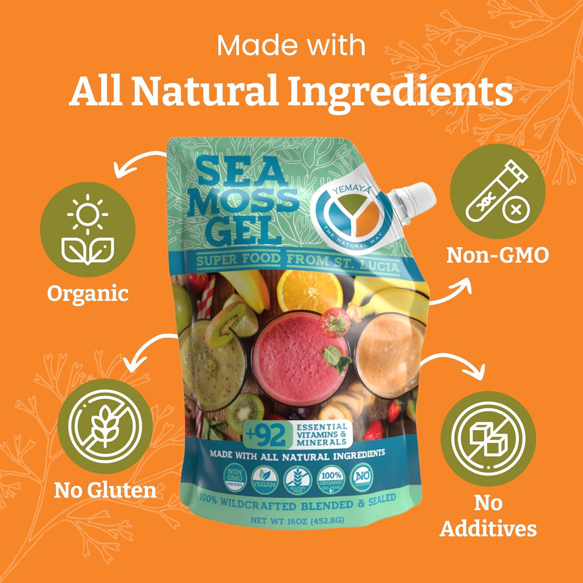 Yemayá Organic Sea Moss Gel - Wildcrafted, Raw, with Real Fruit - 473 ml - görsel 4