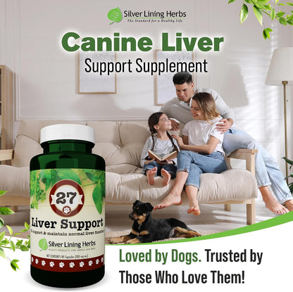 Dog Liver Support - Natural Herbal Dog Vitamins with Milk Thistle Extract, Turmeric, Chamomile & More - Daily Canine Wellness for Liver Support - 90 Capsules