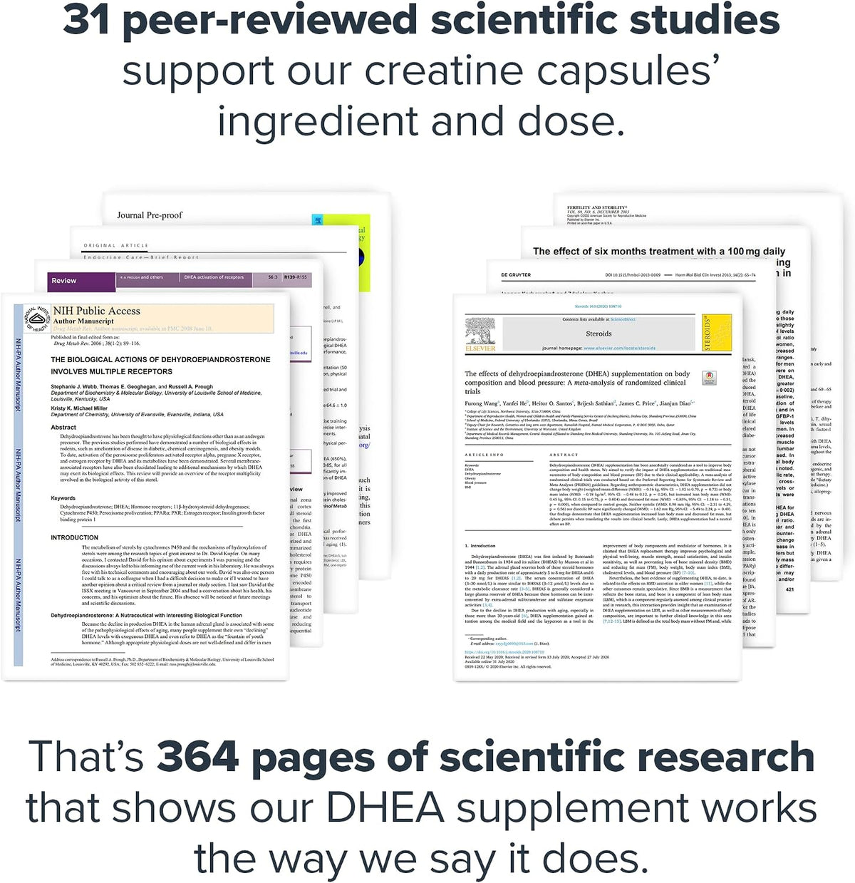 LEGION DHEA 50mg Supplement – Hormone Support & Wellness, Vitality Support, Non-GM, Soya-Free, Gluten-free (120 Capsules) - görsel 5