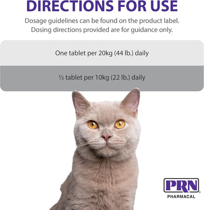 PRN Pharmacal CranMate Cranberry Supplement – Chewable for Dogs & Cats (60 Tablets)
