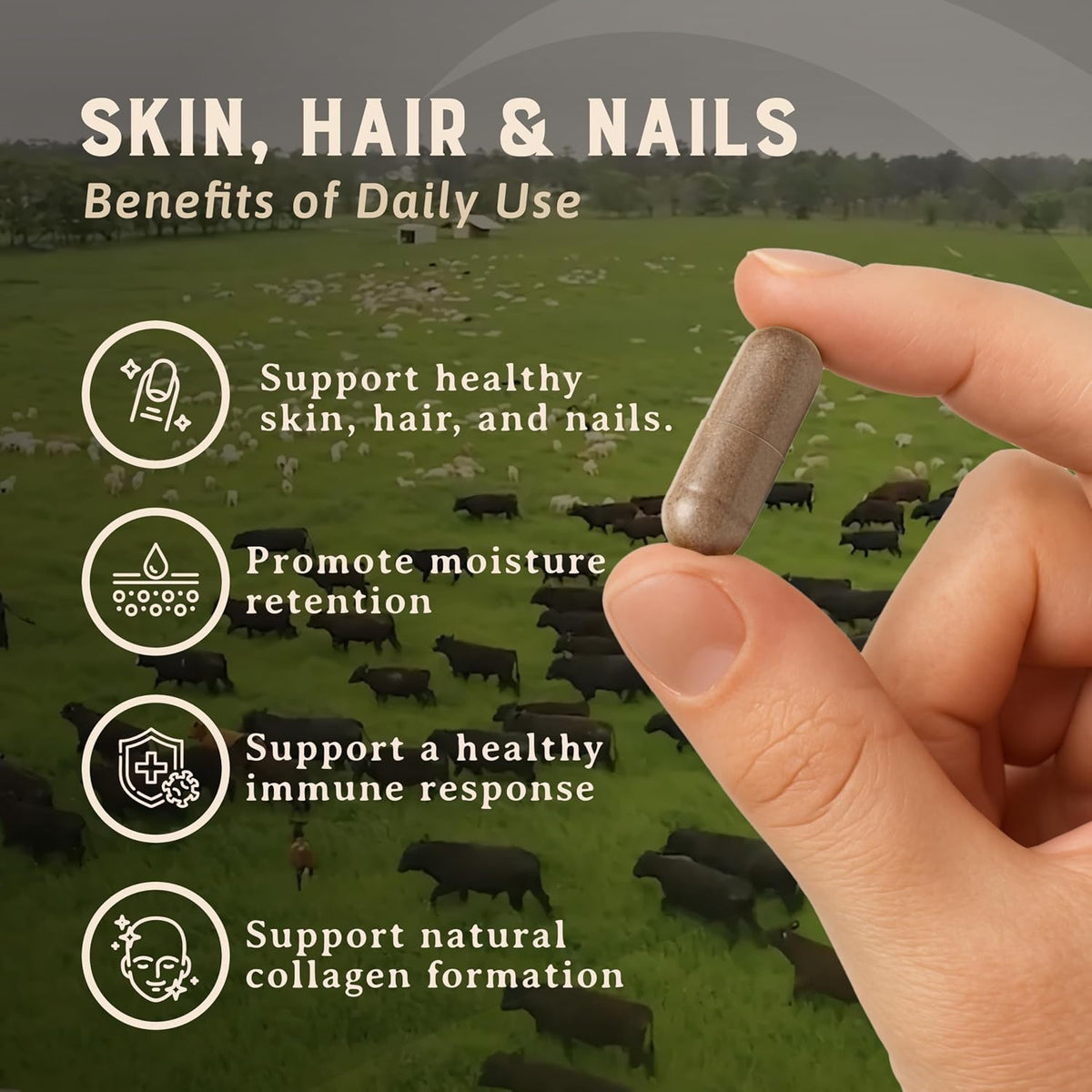 Heart & Soil – 100% Grass Fed & Finished Hair Skin and Nails Supplement – 180 Capsules - görsel 3