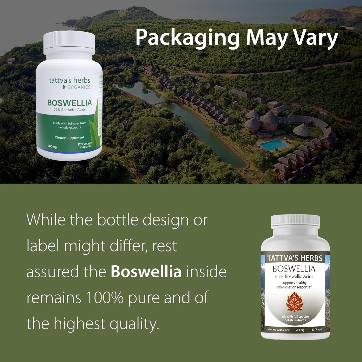 Tattva's Herbs CO2 Boswellia Serrata - 500 mg, 240 Veggie Capsules (2-Pack) - görsel 2