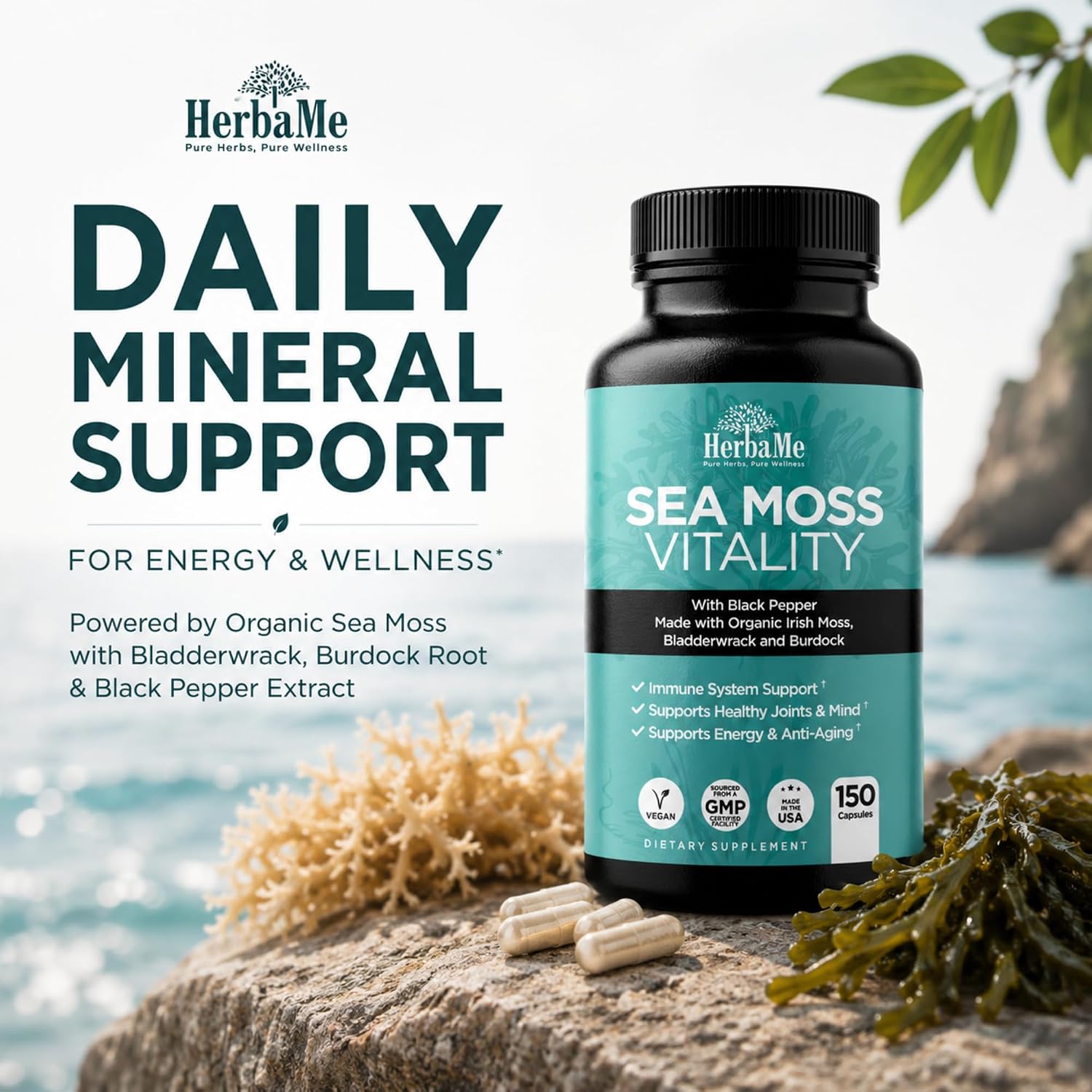 Organic Sea Moss Supplement with Bladderwrack & Burdock Root – Irish Moss with Black Pepper Extract, Daily Mineral Support for Energy & Wellness, 150 Capsules - görsel 2