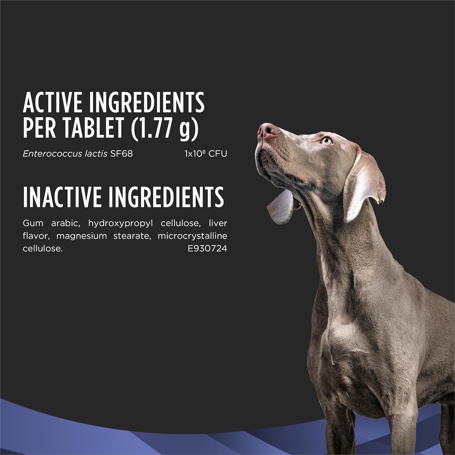 FortiFlora Canine Probiotic Chewable Tablets – Digestive and Immune Support, 90 Tablets - görsel 5