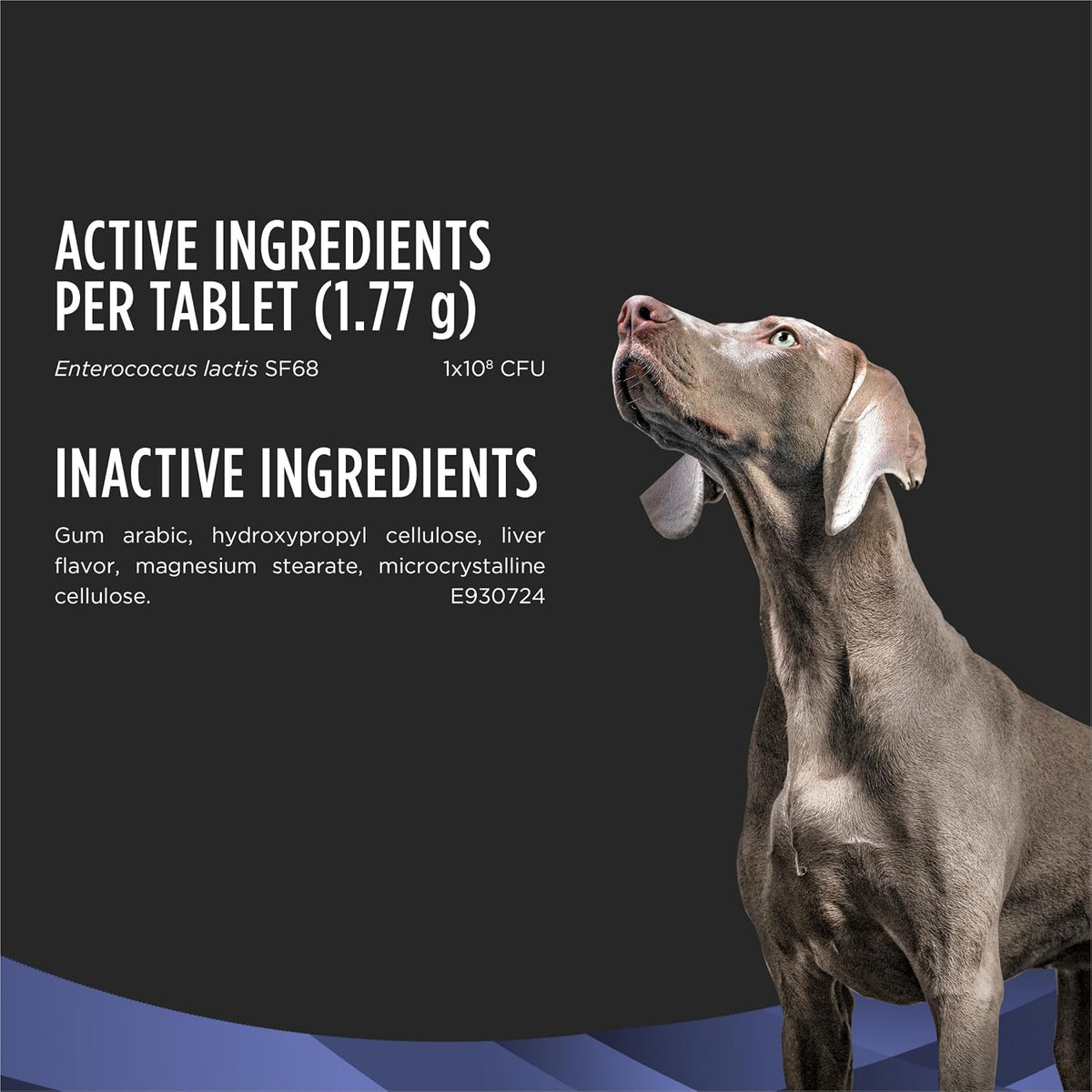 Pro Plan Veterinary Diets FortiFlora Chewable Probiotic Tablets for Dogs and Puppies, Digestive Health Support for Occasional Diarrhoea Management, 45-Count - görsel 5