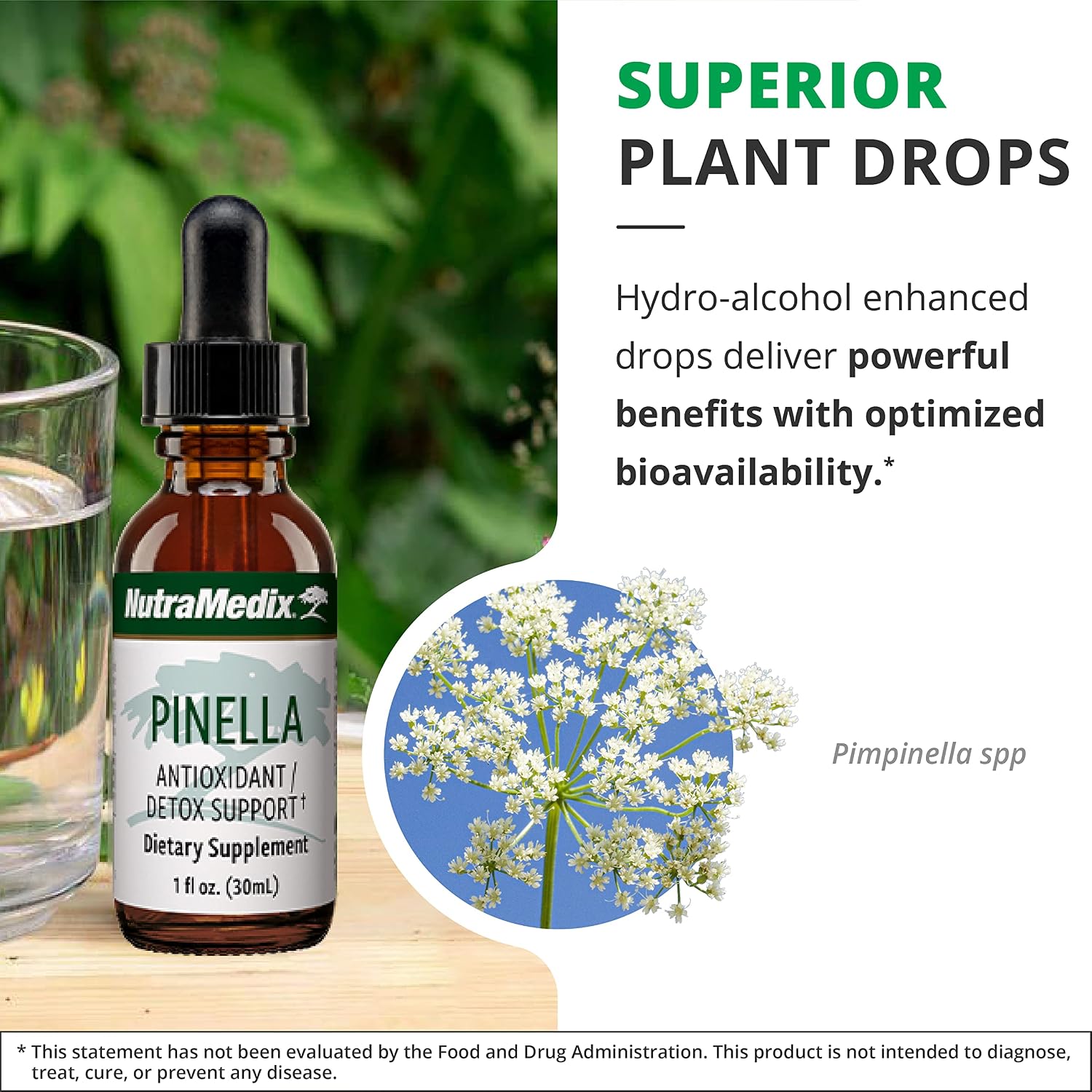 NutraMedix Pinella - Liquid Anise Drops for Cognitive Support (30 ml) - görsel 5