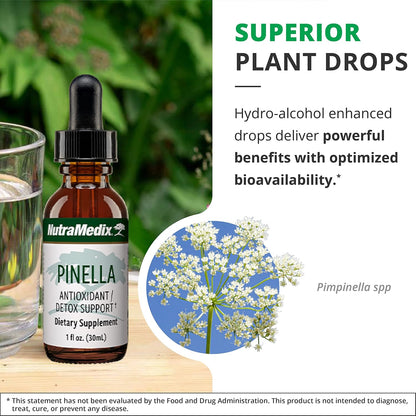 NutraMedix Pinella - Liquid Anise Drops for Cognitive Support (30 ml)