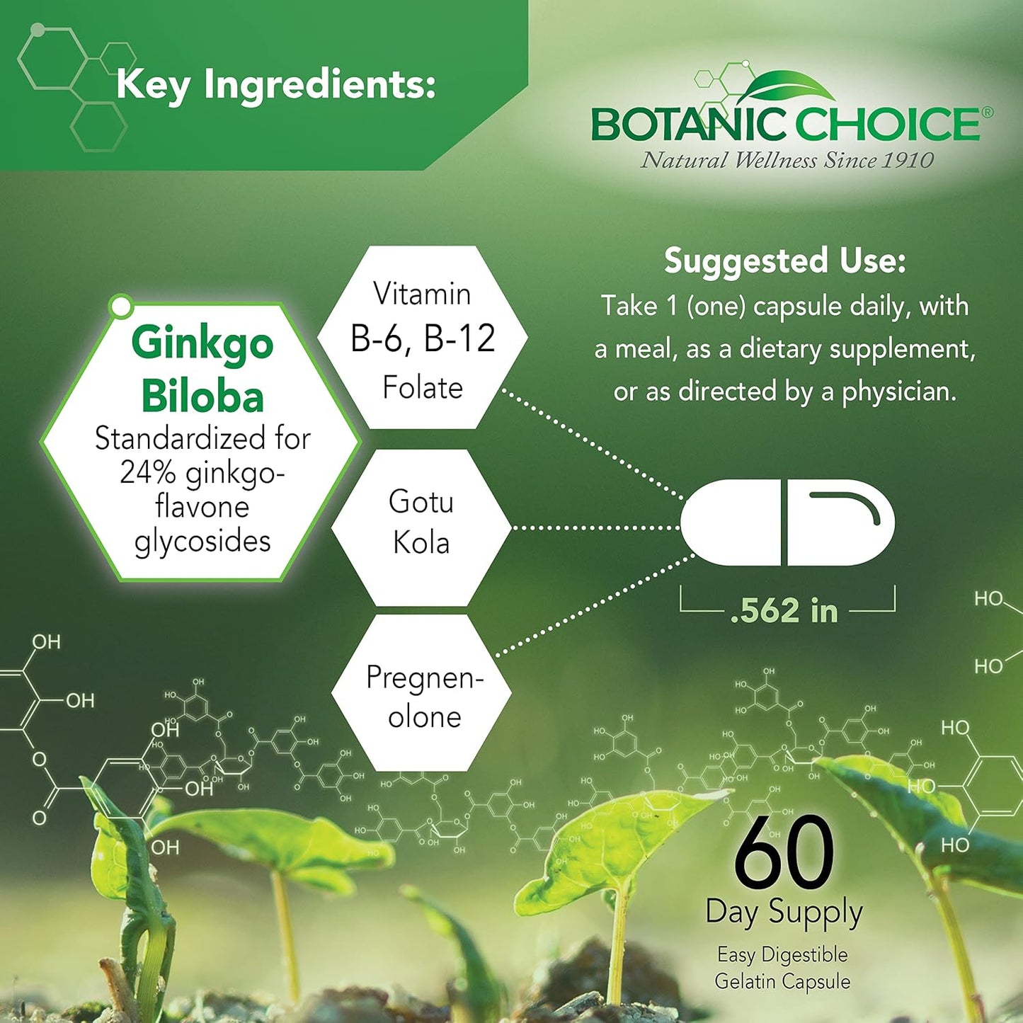 Botanic Choice Advanced Memory Complex - 60 Capsules - görsel 3