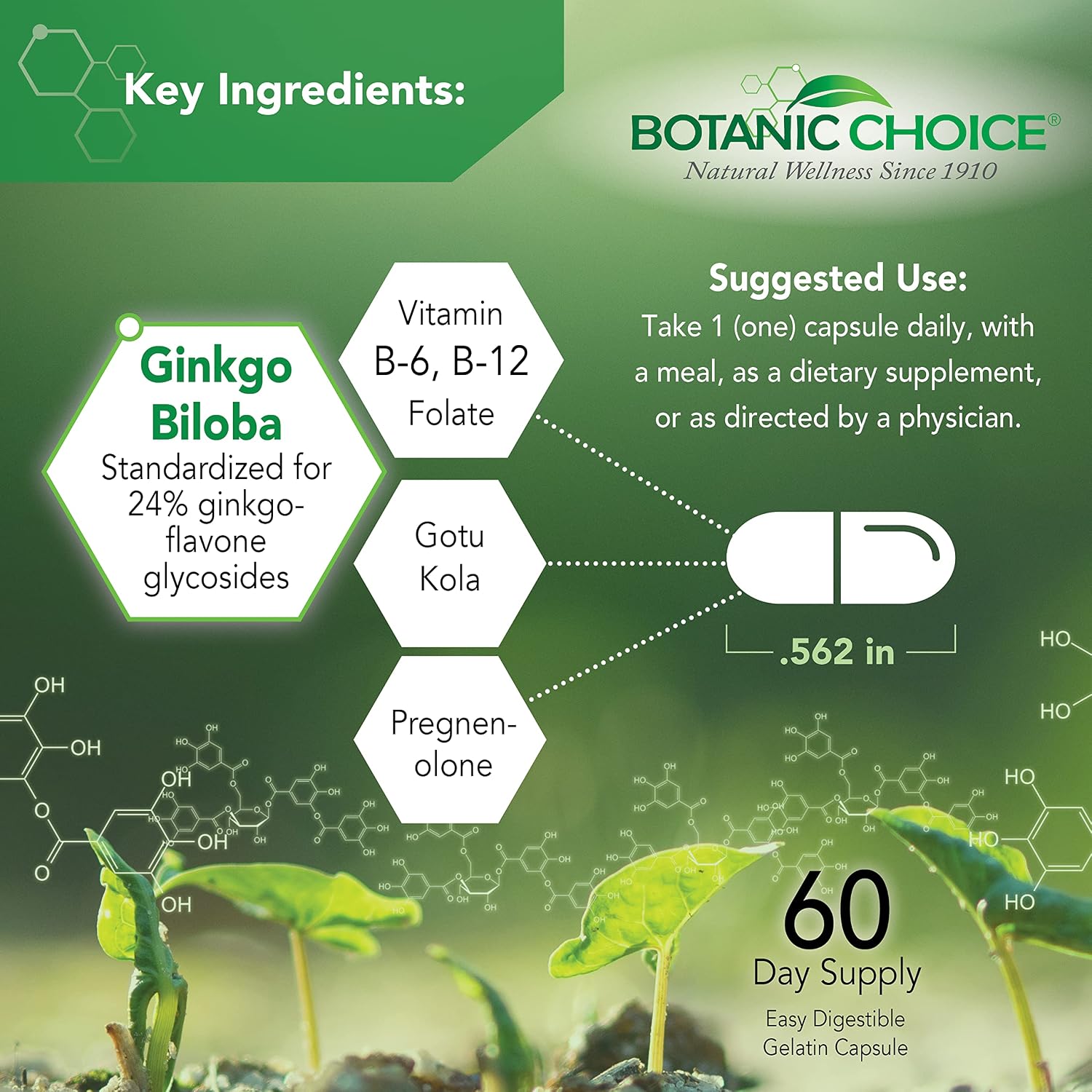 Botanic Choice Advanced Memory Complex - 60 Capsules - görsel 3