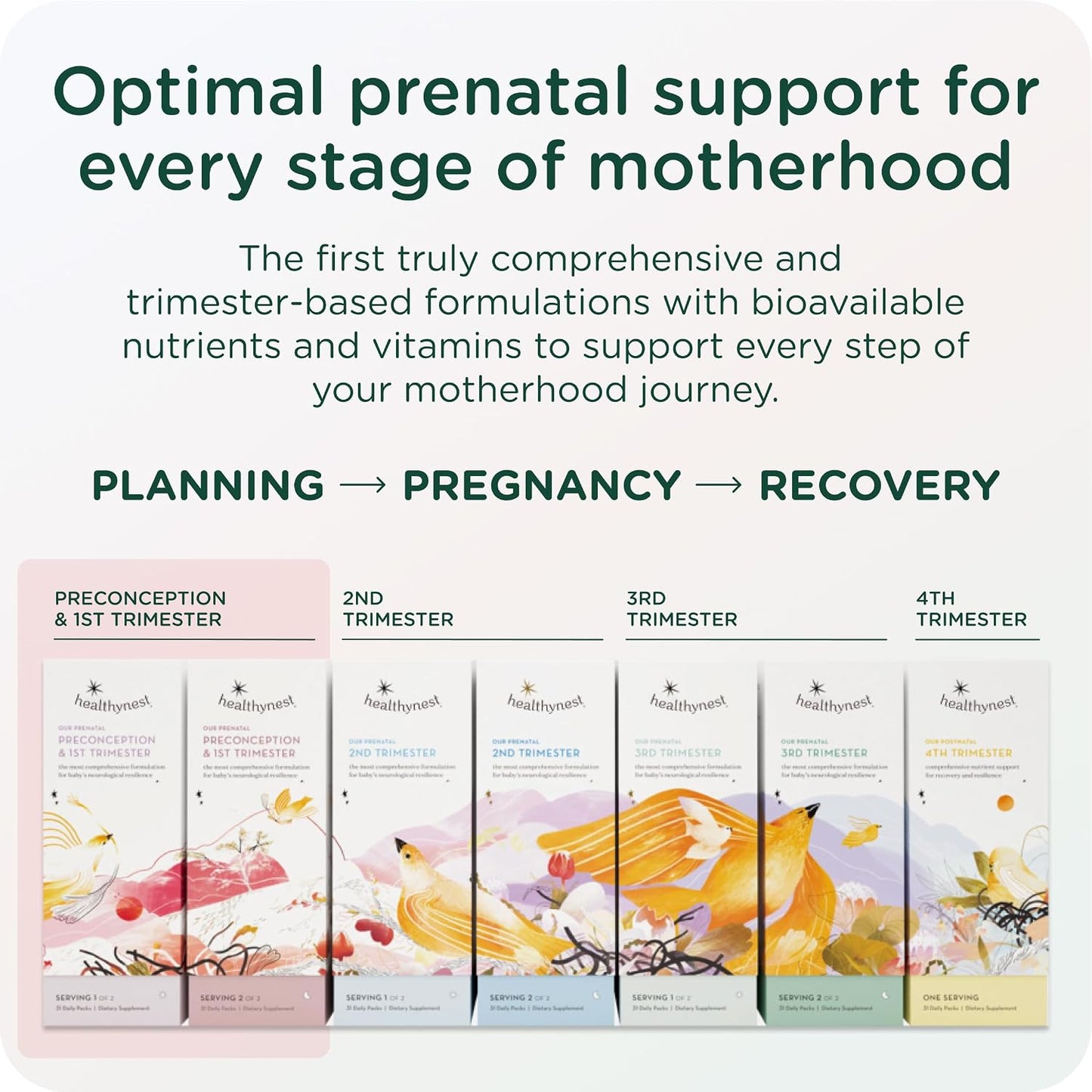 HealthyNest Preconception and First Trimester Prenatal Vitamin - görsel 5