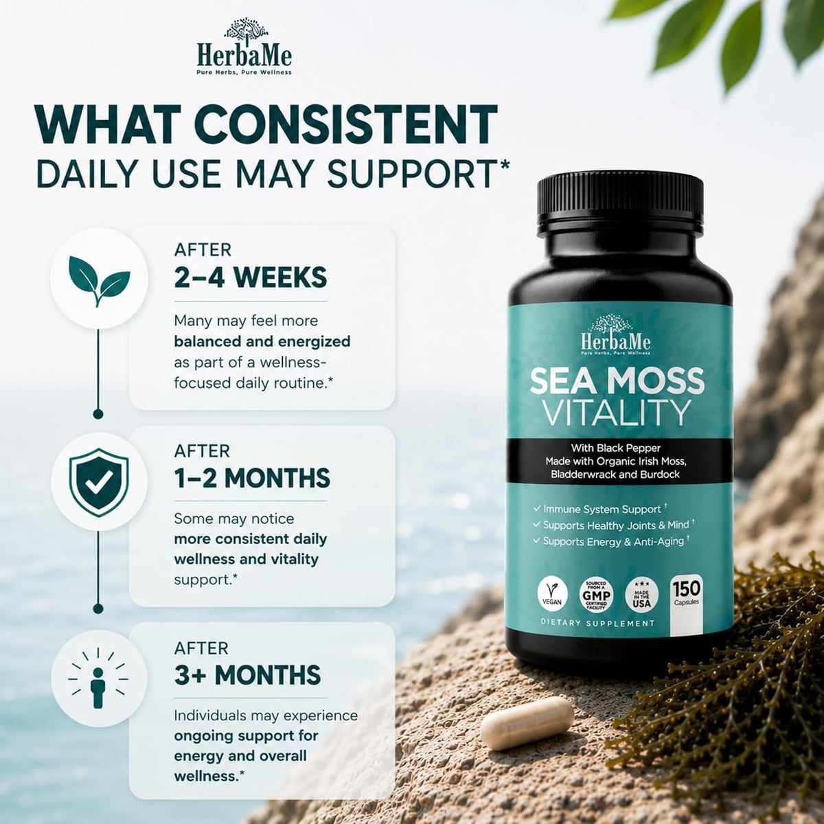 Organic Sea Moss Supplement with Bladderwrack & Burdock Root – Irish Moss with Black Pepper Extract, Daily Mineral Support for Energy & Wellness, 150 Capsules - görsel 6