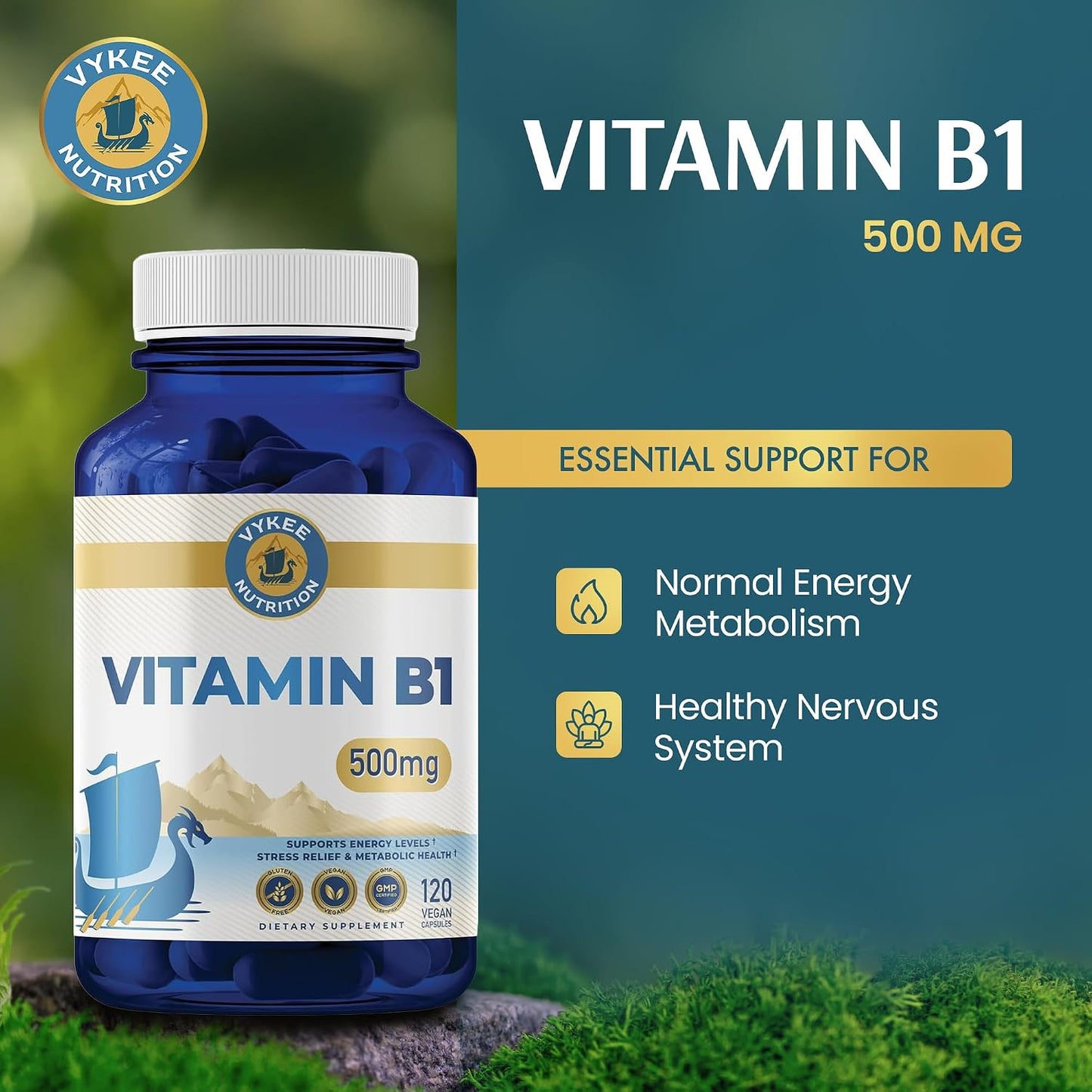 Vykee Nutrition Vitamin B1 (Thiamine) Capsules – 500 mg, 120 Count - görsel 2