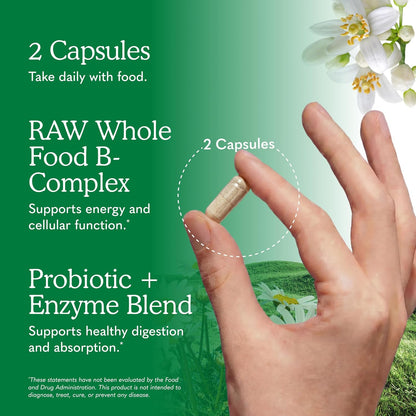 Garden of Life Vitamin B Complex - High Potency Raw B Vitamins for Energy & Metabolism with Probiotics, 120 Vegan Capsules