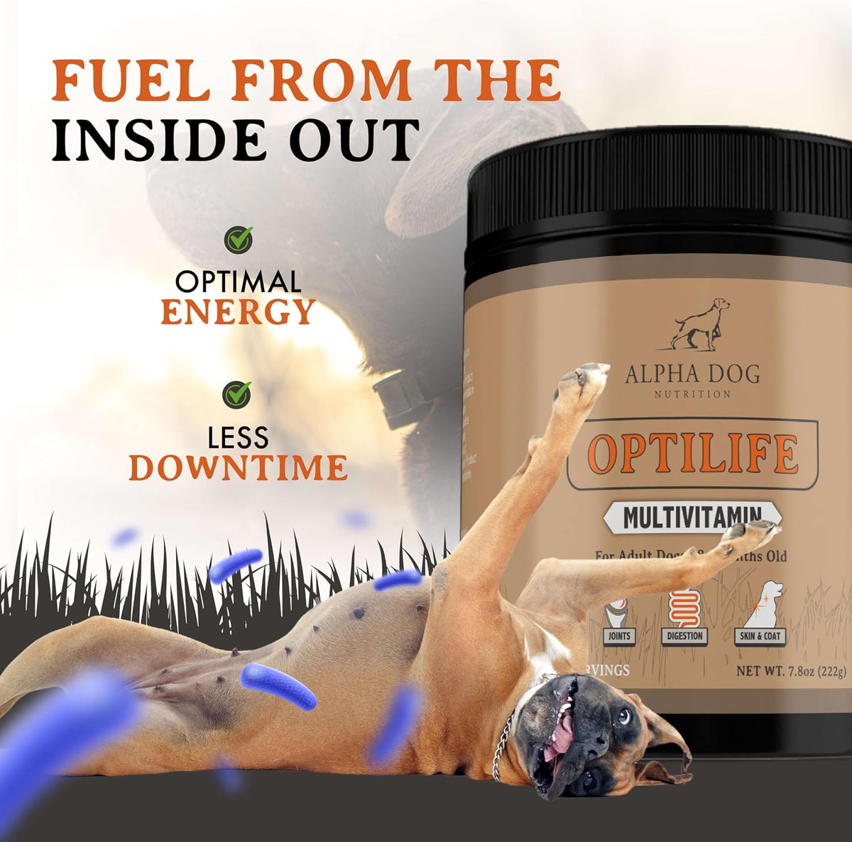 OptiLife Dog Multivitamin Powder - Adult Dog Multivitamin with Probiotics, Allergy Support, Joint Support, Skin & Coat Support - Dog Vitamins and Supplements (30 Servings) - görsel 4