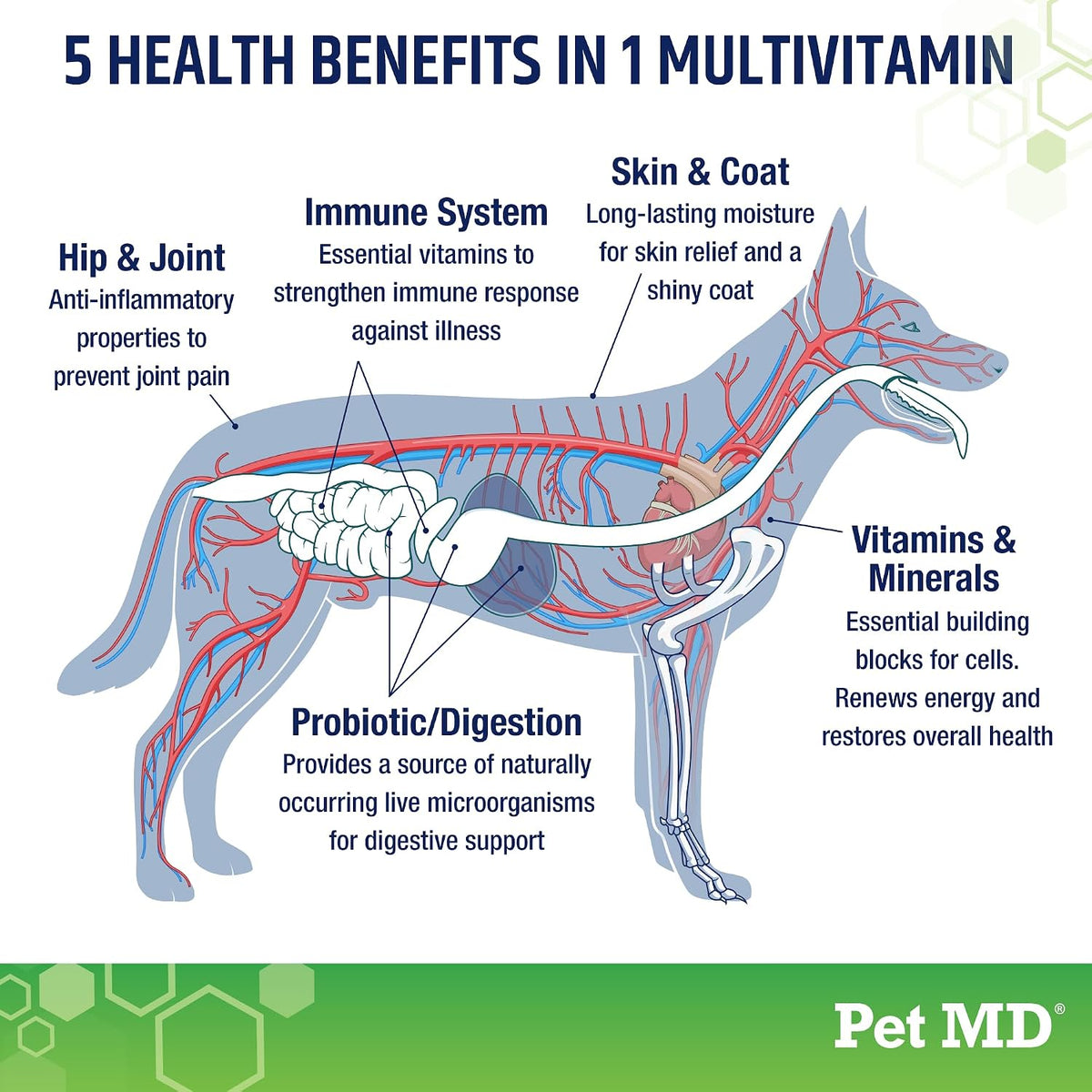 Pet MD 5in1 Dog Multivitamin - 30 Essential Vitamins & Nutrients for Skin & Coat, Hip & Joint, Digestion - Glucosamine, Omega-3-6-9, Probiotics (60 Soft Chews) - görsel 3