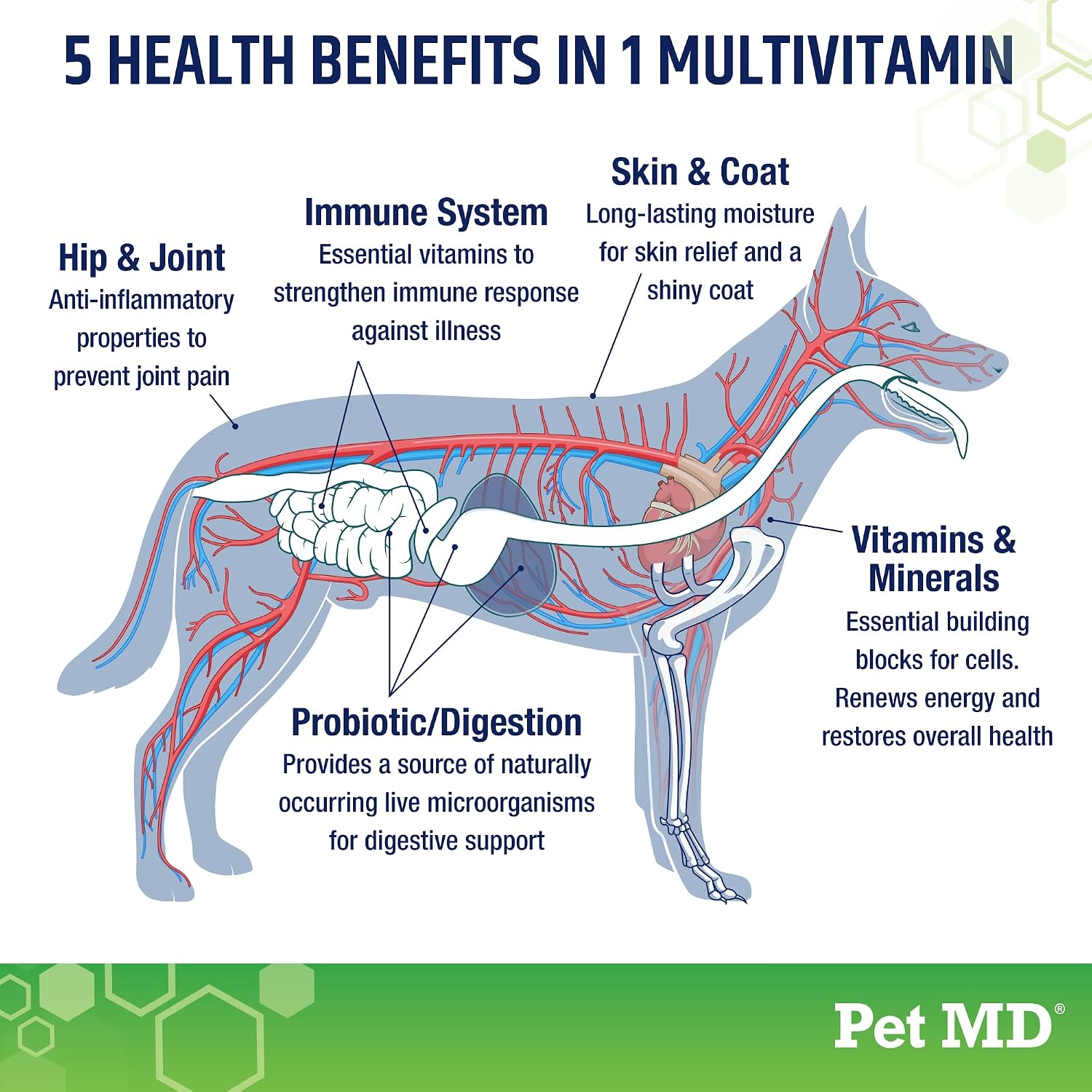 Pet MD 5in1 Dog Multivitamin - 30 Essential Vitamins & Nutrients for Skin & Coat, Hip & Joint, Digestion - Glucosamine, Omega-3-6-9, Probiotics (60 Soft Chews) - görsel 3