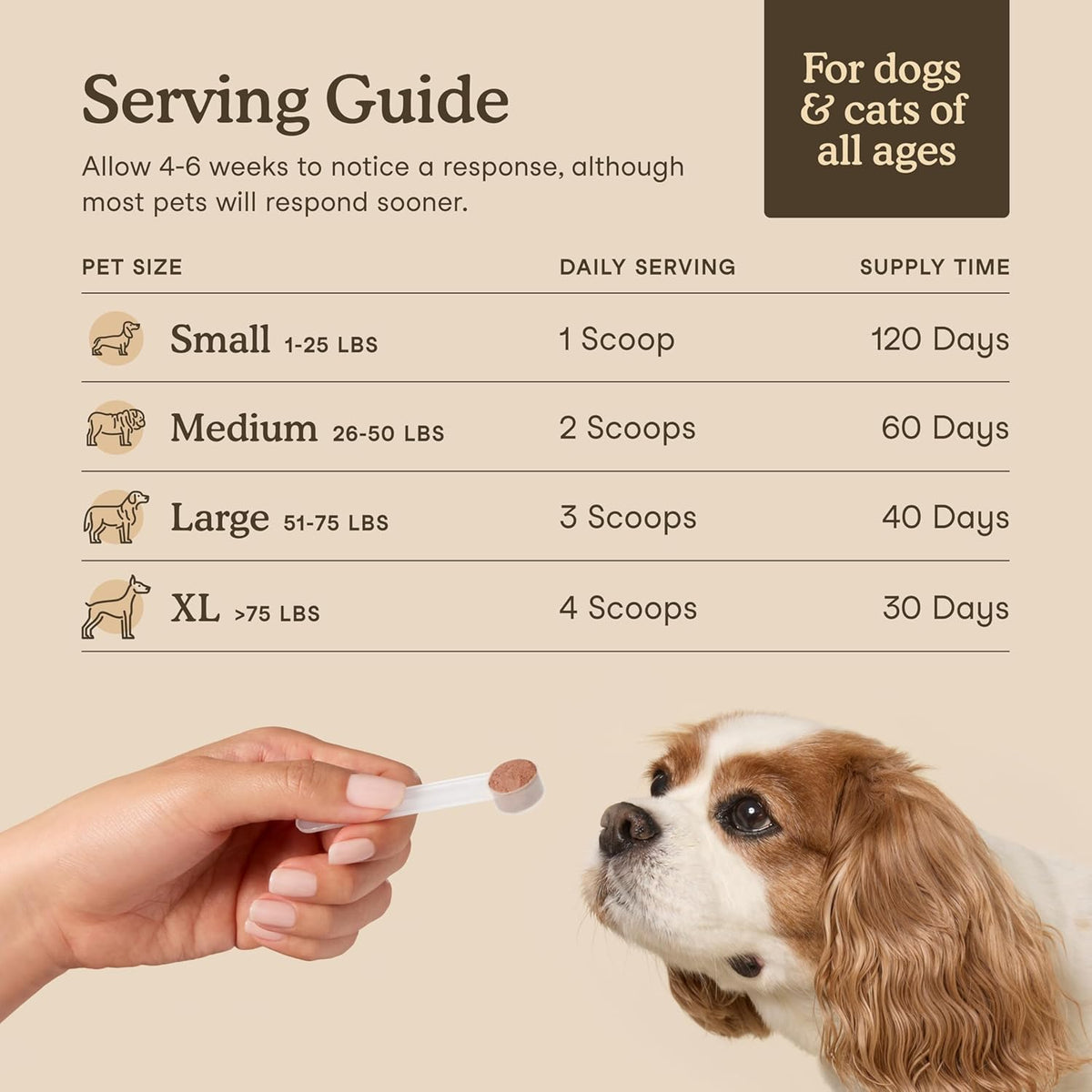 Fera Pets Organic Mushroom Supplement for Dogs & Cats – 10-Mushroom Blend, 120 Scoops - görsel 4