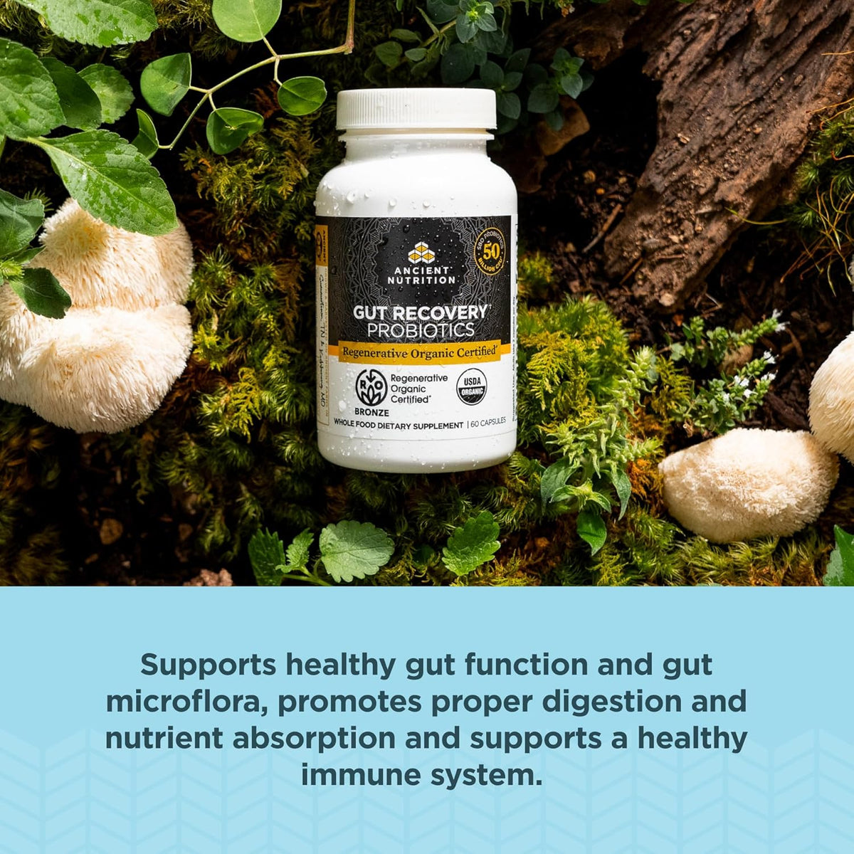 Ancient Nutrition Regenerative Organic Certified Probiotics for Gut Recovery, 50 Billion CFU, 60 Capsules - görsel 3