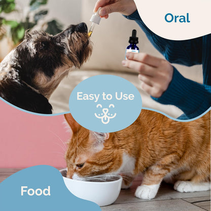 Intestinal Defence Supplement for Dogs & Cats | Herbal Formula for Digestive Health | 2-Pack