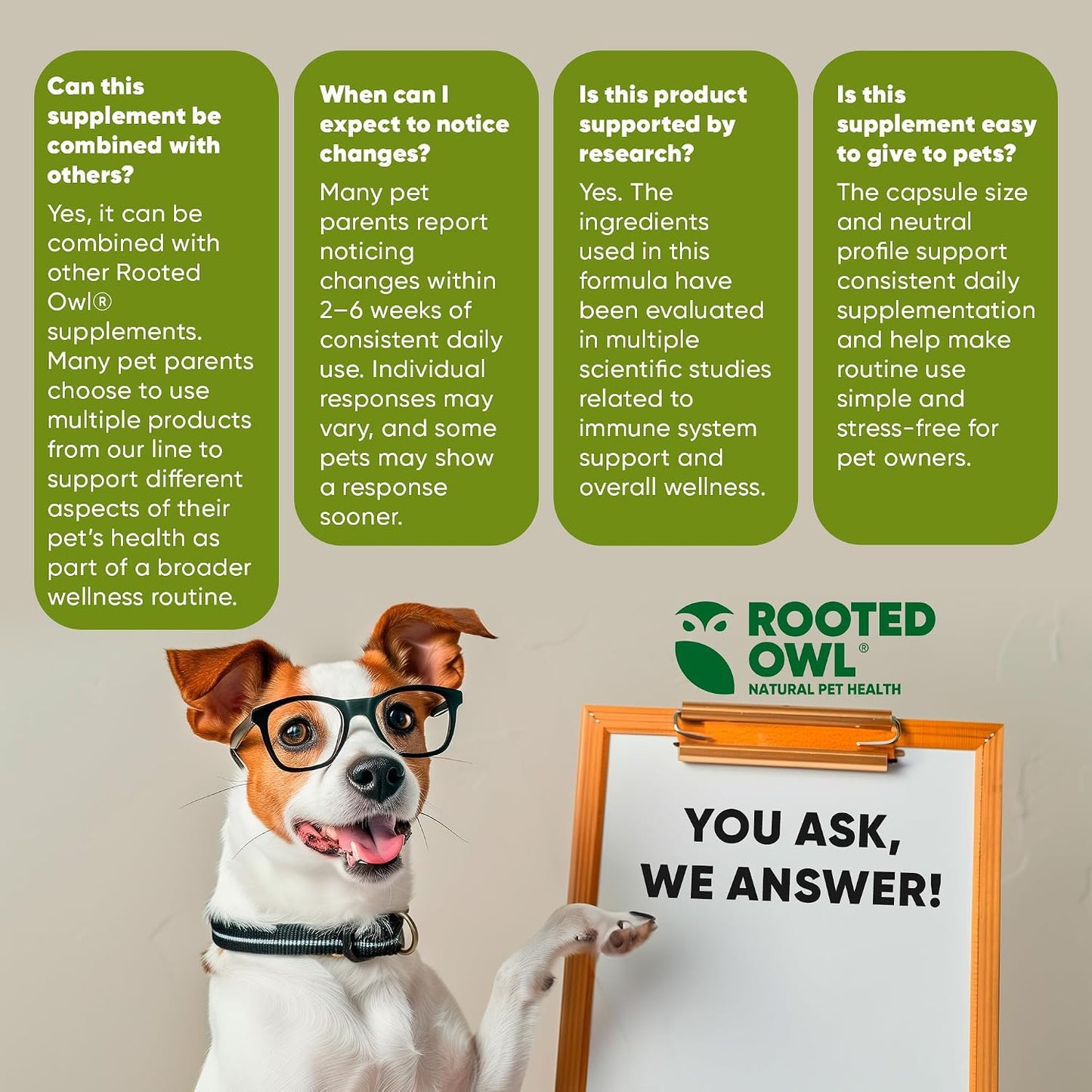 Rooted Owl® Mushroom Supplement for Dogs & Cats - Immune Support - 60 Capsules - görsel 8