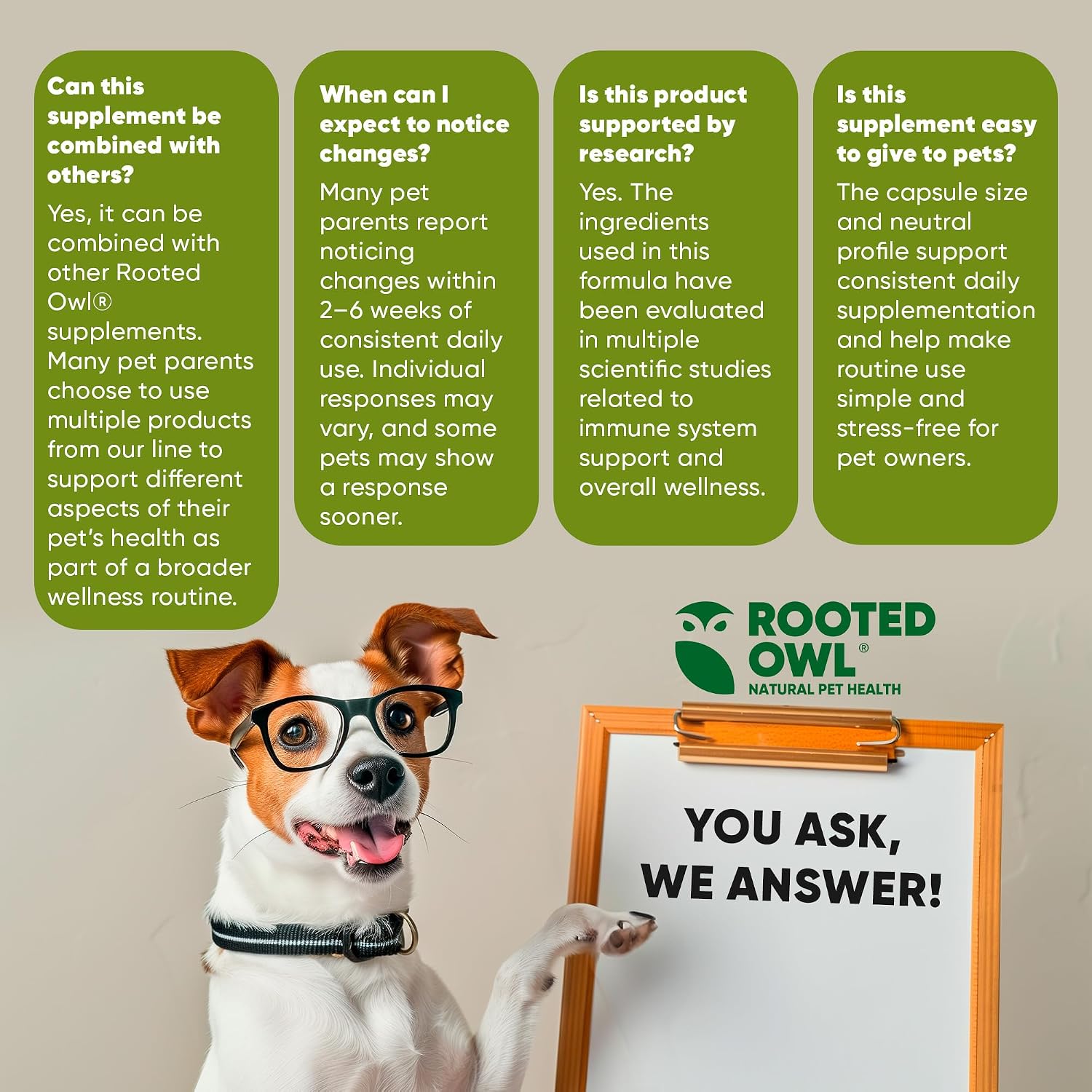 Rooted Owl® Mushroom Supplement for Dogs & Cats - Immune Support - 60 Capsules - görsel 8