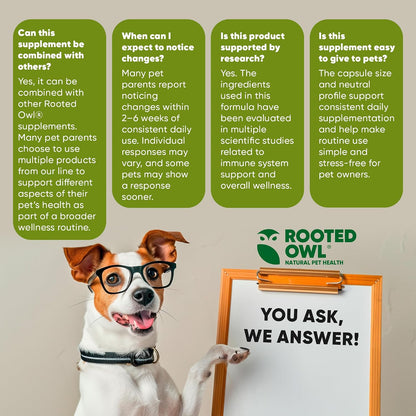 Rooted Owl® Mushroom Supplement for Dogs & Cats - Immune Support - 60 Capsules