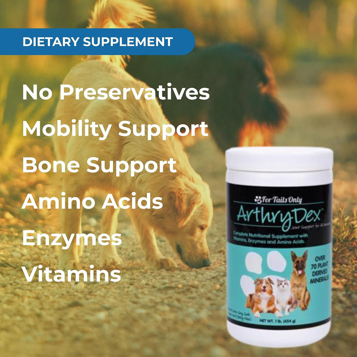 Arthrydex Complete Nutritional Supplement for Dogs and Cats – 1 lb Canister (Pack of 2) - görsel 4