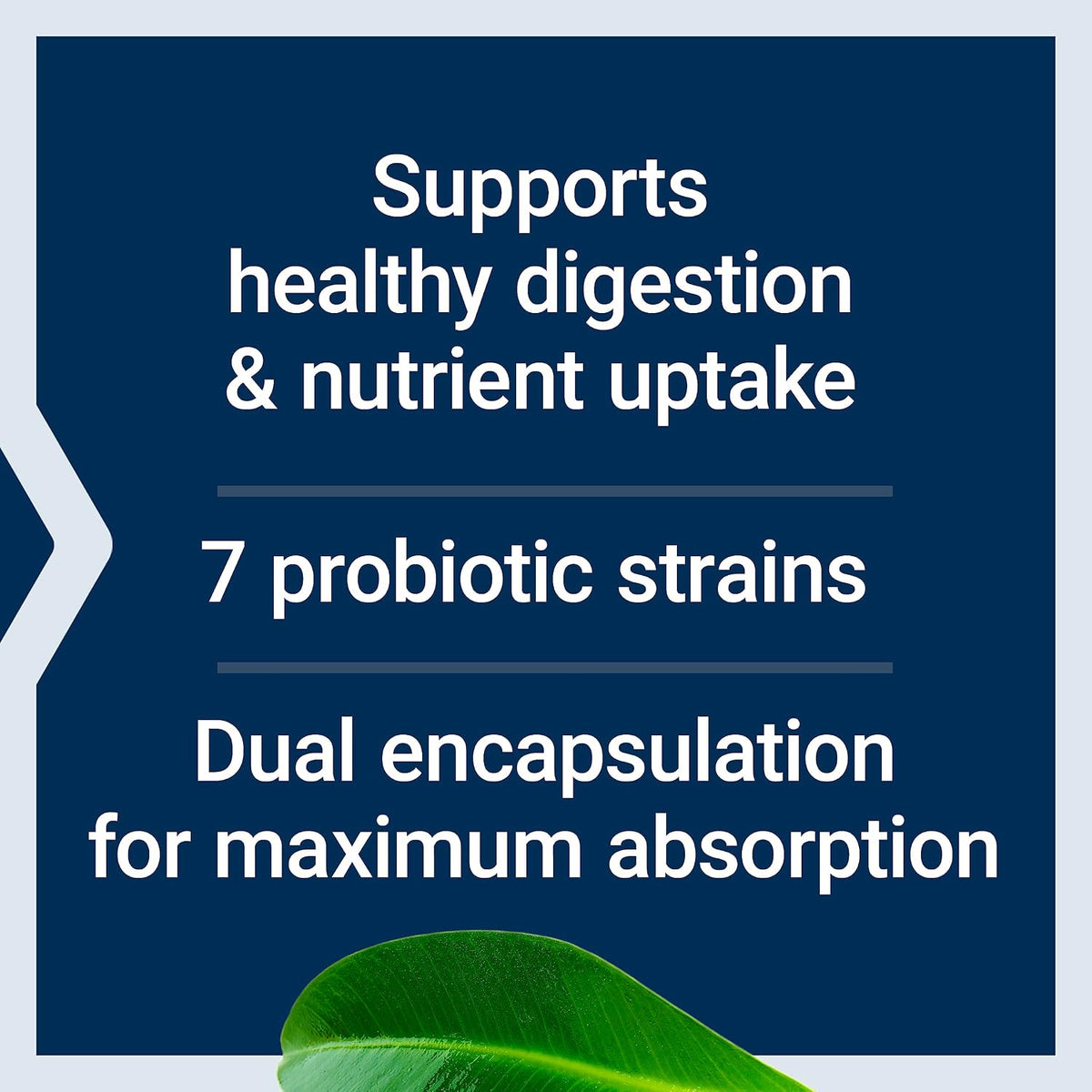 Life Extension FLORASSIST GI with Phage Technology, 90 Liquid Vegetarian Capsules - görsel 4
